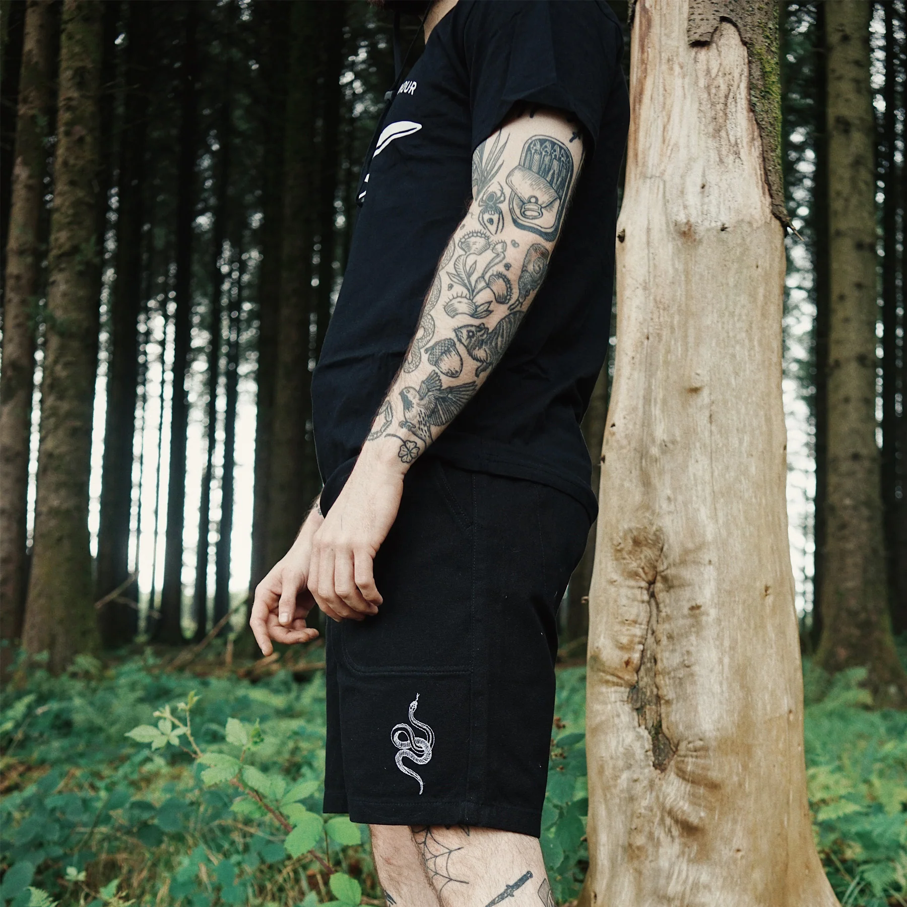 Black Canvas Shorts - Image 3